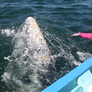 IMG 0001 2 (304)